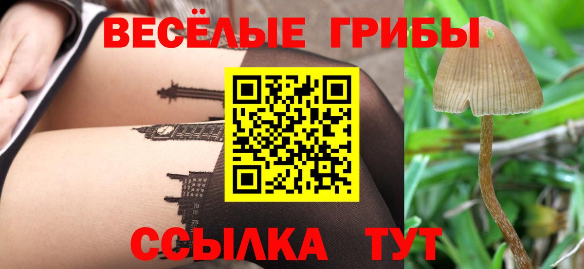 Псилоцибиновые грибы ЛСД  закладка  Егорьевск  Вход с VPN 